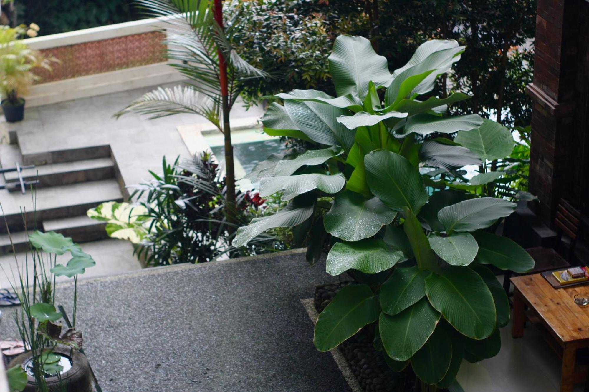 Hanaka Riverside Ubud Екстер'єр фото