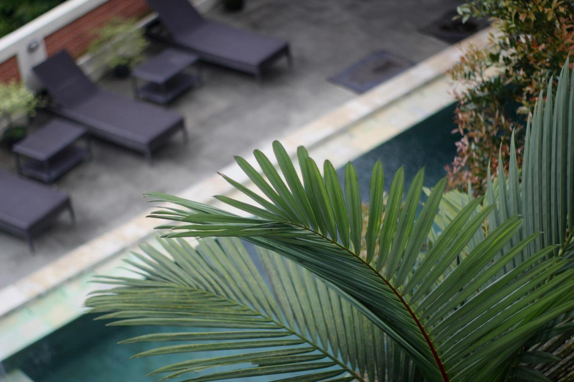 Hanaka Riverside Ubud Екстер'єр фото